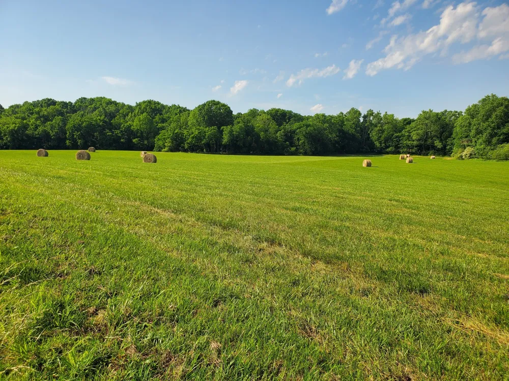 30 Three Forks Bridge Rd Wartrace, TN 37183