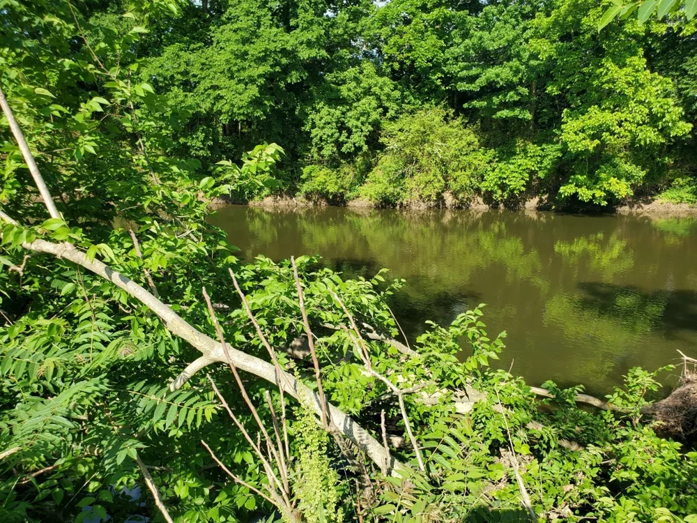 30 Three Forks Bridge Rd Wartrace, TN 37183