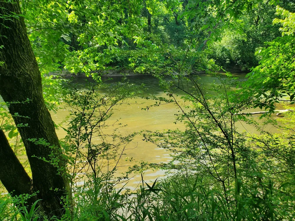 30 Three Forks Bridge Rd Wartrace, TN 37183