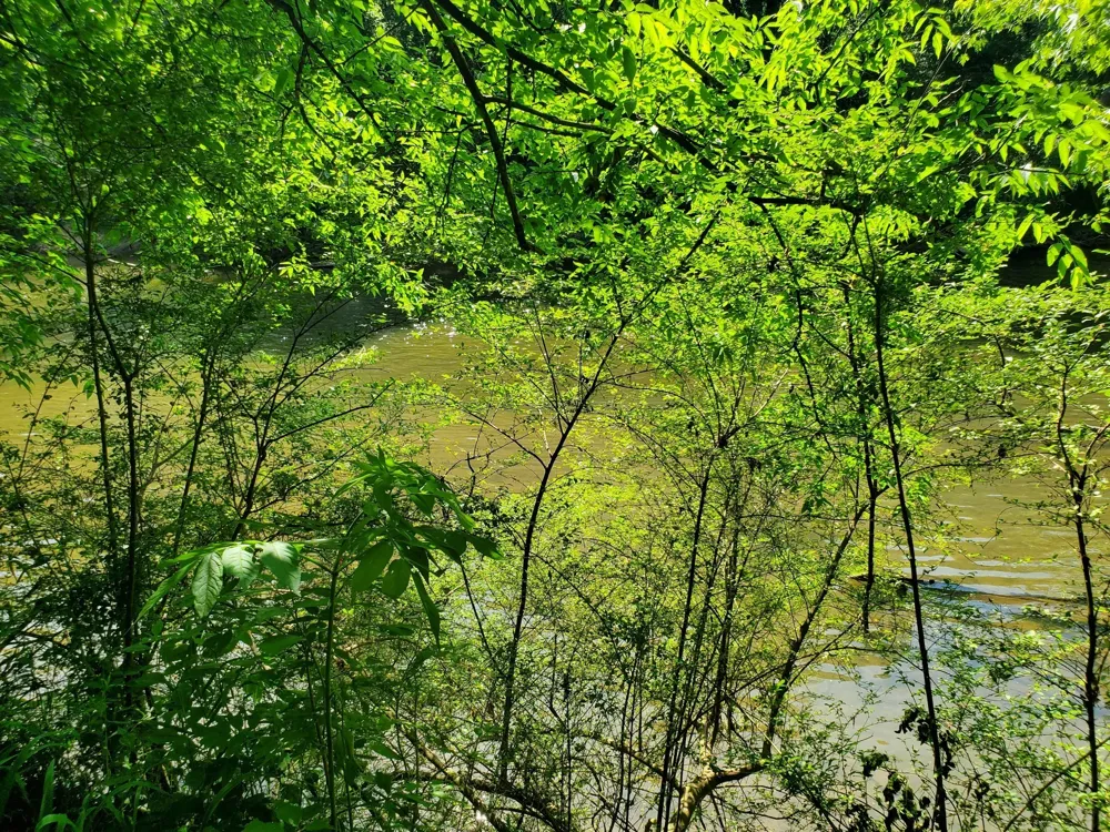 30 Three Forks Bridge Rd Wartrace, TN 37183