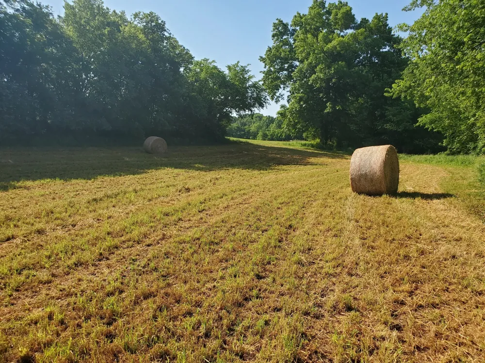 30 Three Forks Bridge Rd Wartrace, TN 37183
