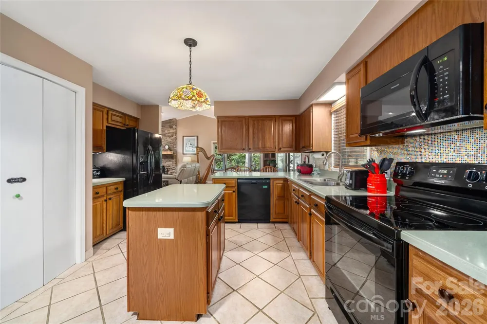 10 Surrey Run Hendersonville, NC 28791