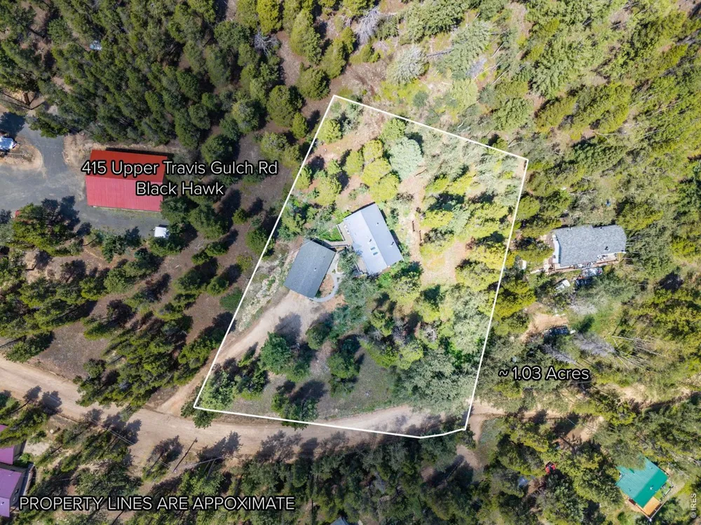 415 Upper Travis Gulch Road Black Hawk, CO 80422