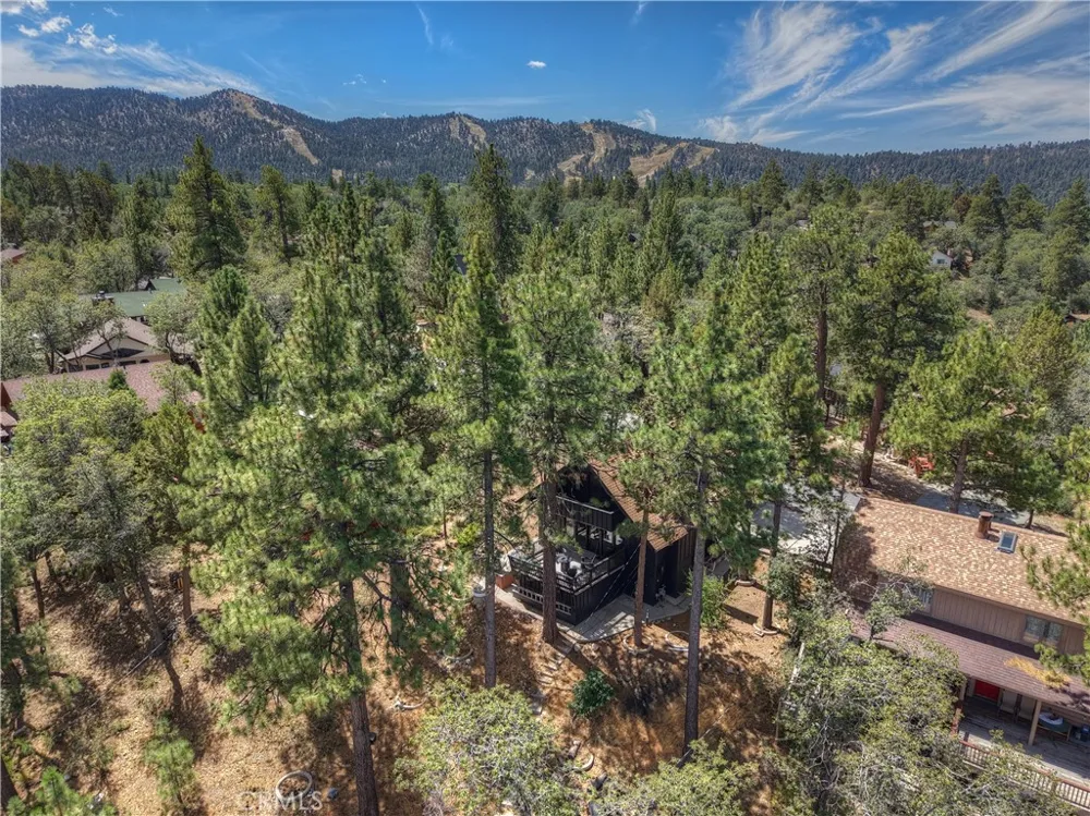533 Villa Grove Big Bear City, CA 92314