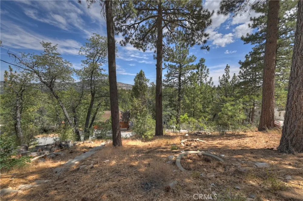 533 Villa Grove Big Bear City, CA 92314