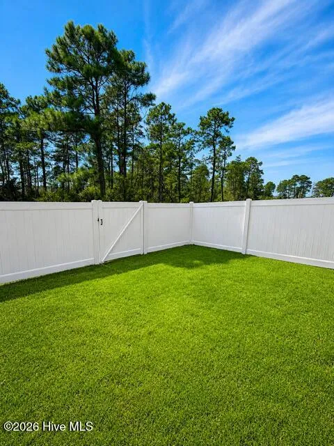 3222 Lobelia Lane Leland, NC 28451