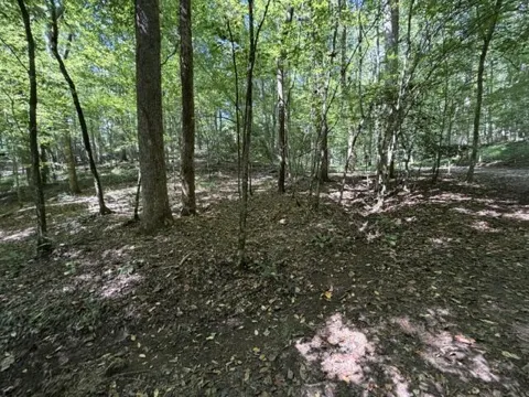 Tr. B&C Bear Hollow Way