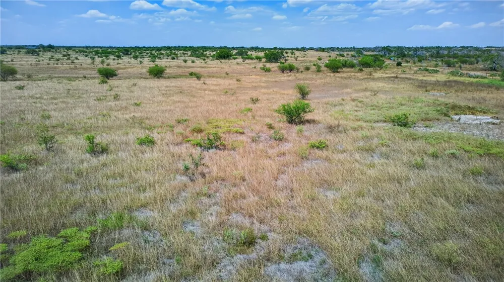 259 E County Road 227 Orange Grove, TX 78372