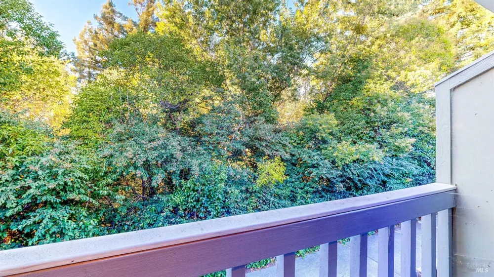 718 Racquet Club Circle Rohnert Park, CA 94928