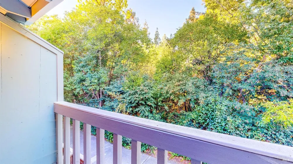 718 Racquet Club Circle Rohnert Park, CA 94928