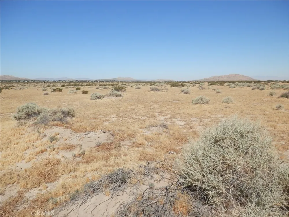 Ave. N Palmdale, CA 93591