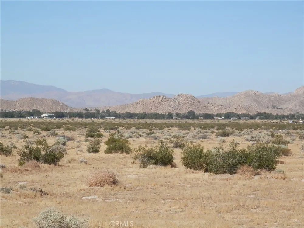 Ave. N Palmdale, CA 93591