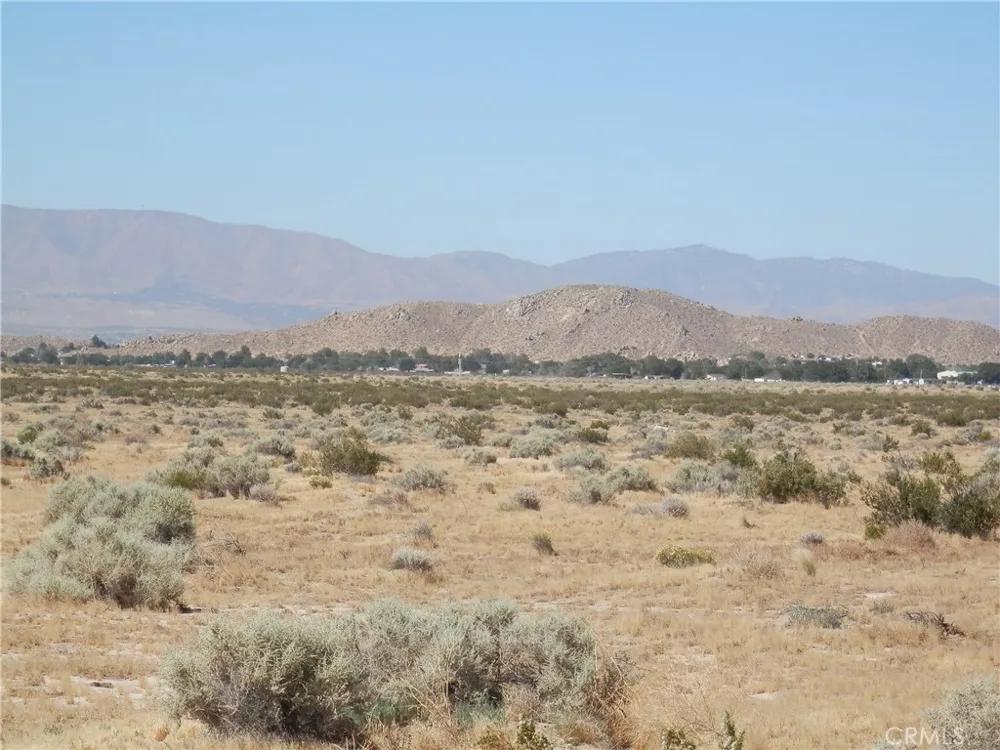 Ave. N Palmdale, CA 93591