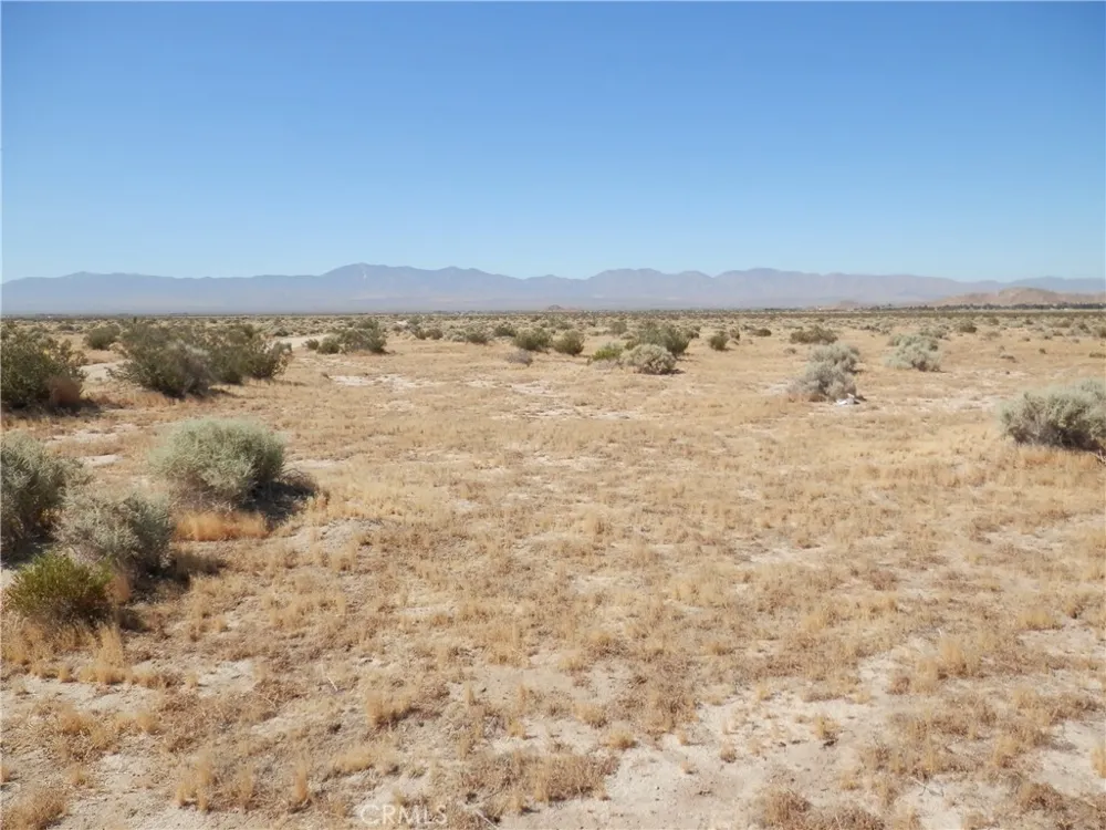 Ave. N Palmdale, CA 93591