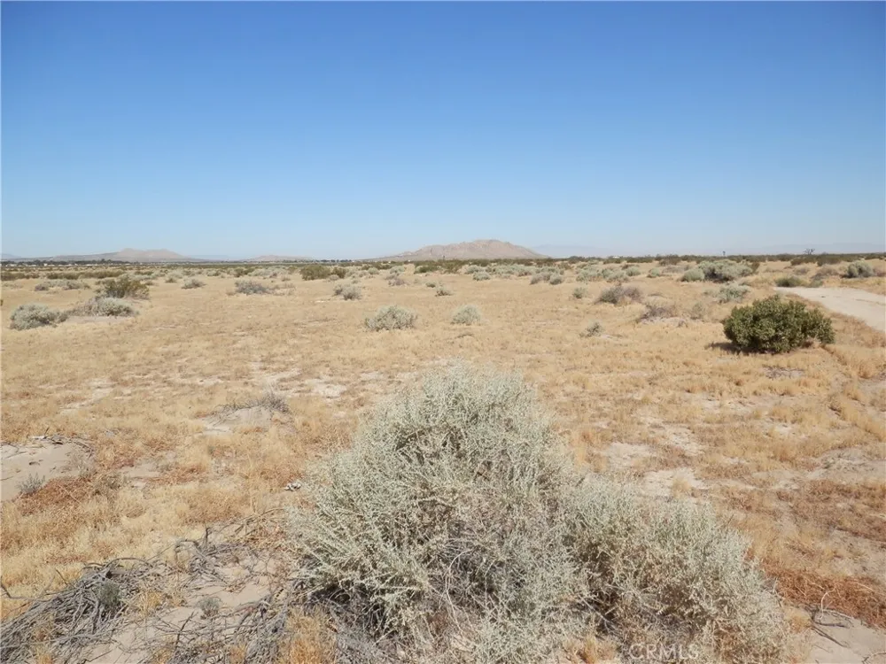 Ave. N Palmdale, CA 93591