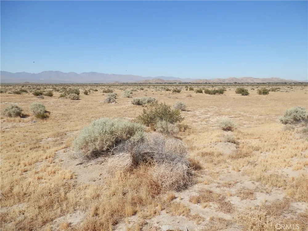Ave. N Palmdale, CA 93591