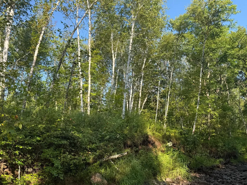 2243 310th Avenue Mora, MN 55051