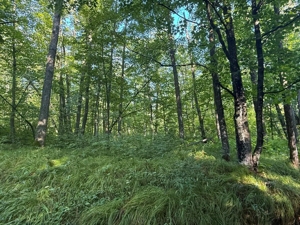 2243 310th Avenue Mora, MN 55051
