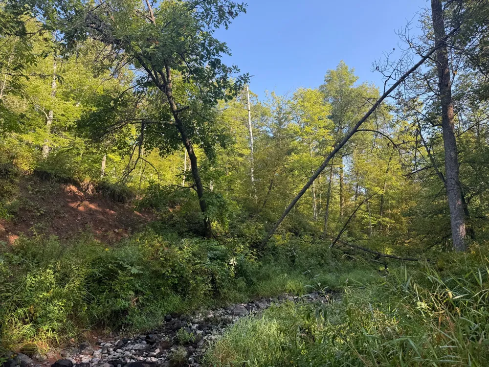 2243 310th Avenue Mora, MN 55051