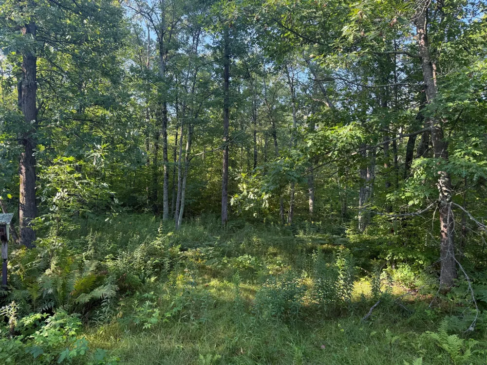 2243 310th Avenue Mora, MN 55051