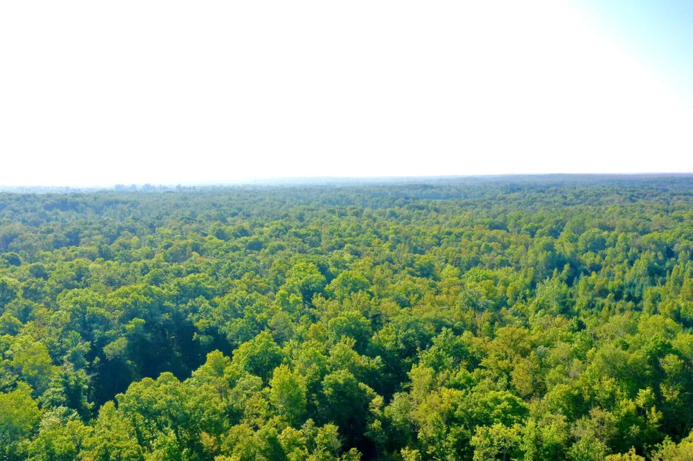 2243 310th Avenue Mora, MN 55051
