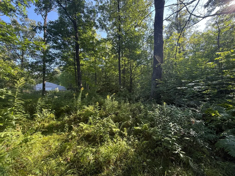 2243 310th Avenue Mora, MN 55051