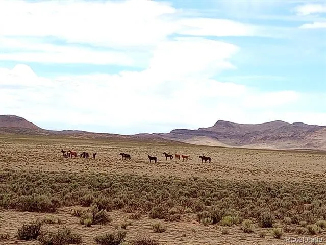 40 acres County Rd 27 San Acacio, CO 81151
