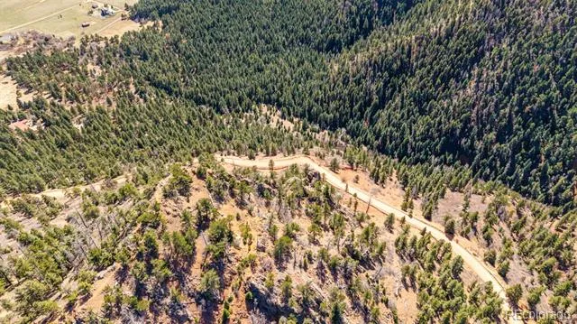 13912 Woodmoor West Drive Larkspur, CO 80118