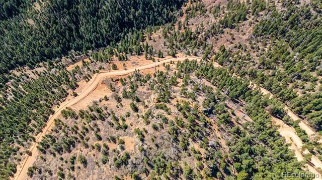 13912 Woodmoor West Drive Larkspur, CO 80118