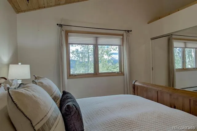 102 Thimbleberry Way Silverthorne, CO 80498