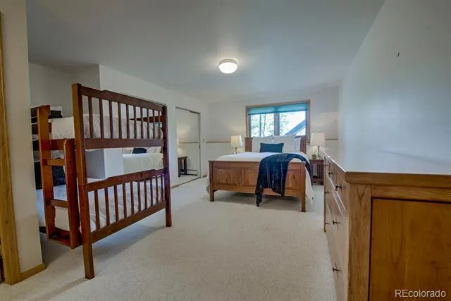 102 Thimbleberry Way Silverthorne, CO 80498