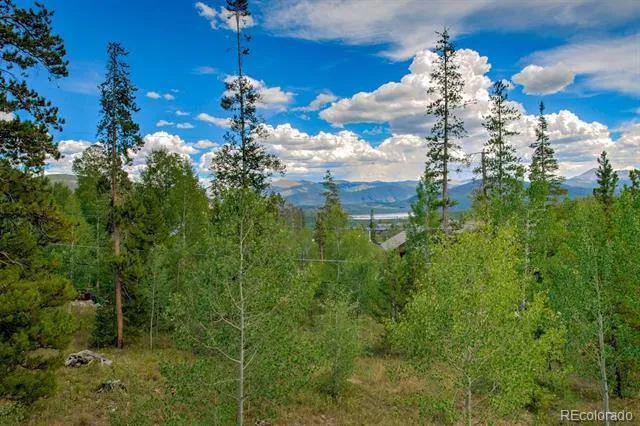 102 Thimbleberry Way Silverthorne, CO 80498