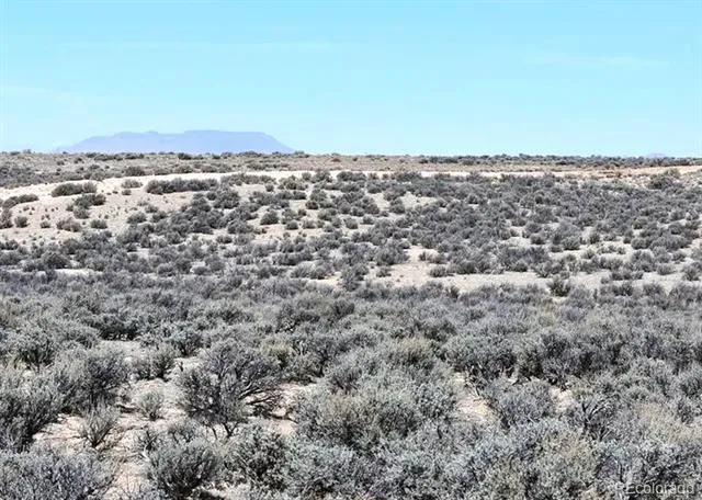 113 lots Sports Valley Estates Mesita, CO 81152