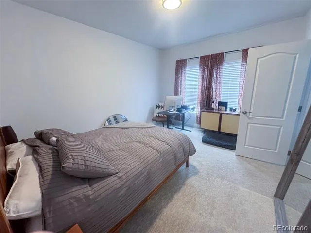 119 Brooklyn Circle Leadville, CO 80461