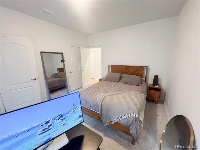 119 Brooklyn Circle Leadville, CO 80461