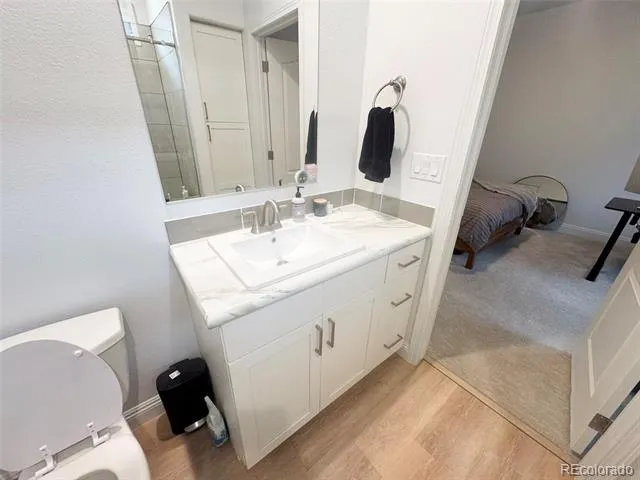119 Brooklyn Circle Leadville, CO 80461