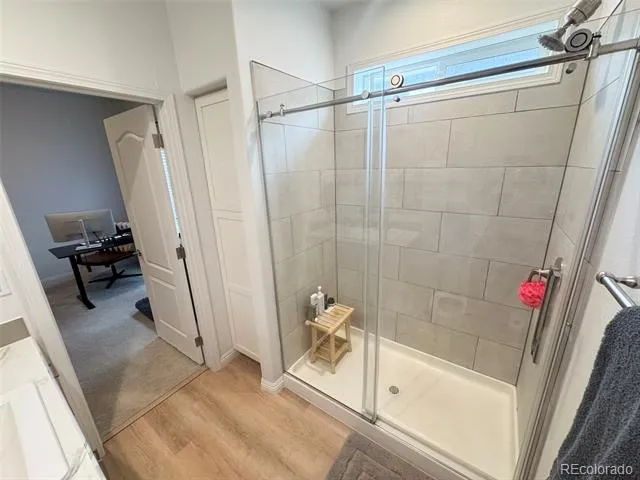 119 Brooklyn Circle Leadville, CO 80461