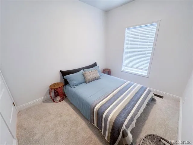 119 Brooklyn Circle Leadville, CO 80461