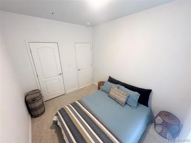 119 Brooklyn Circle Leadville, CO 80461