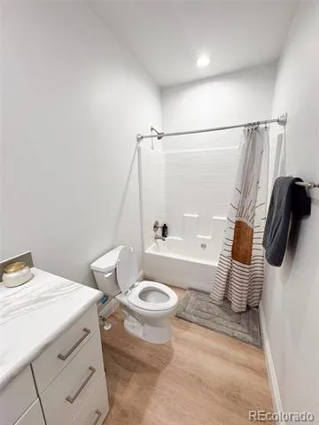 119 Brooklyn Circle Leadville, CO 80461