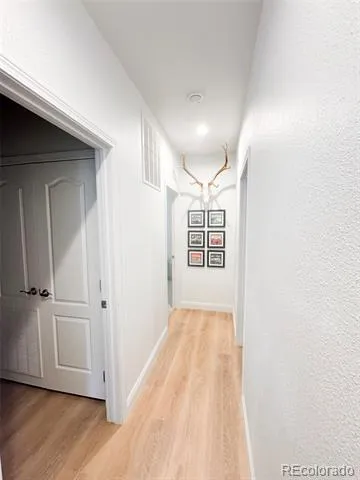 119 Brooklyn Circle Leadville, CO 80461