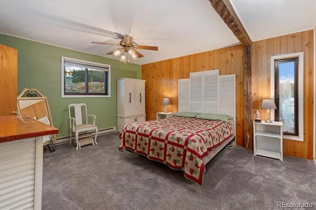 506 E 2nd Street Leadville, CO 80461