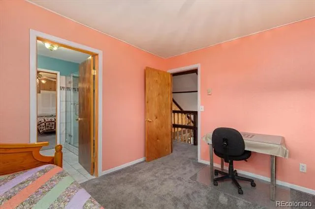 506 E 2nd Street Leadville, CO 80461