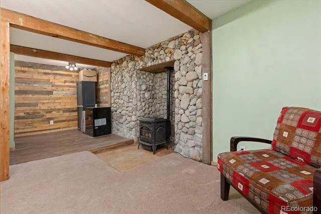 506 E 2nd Street Leadville, CO 80461