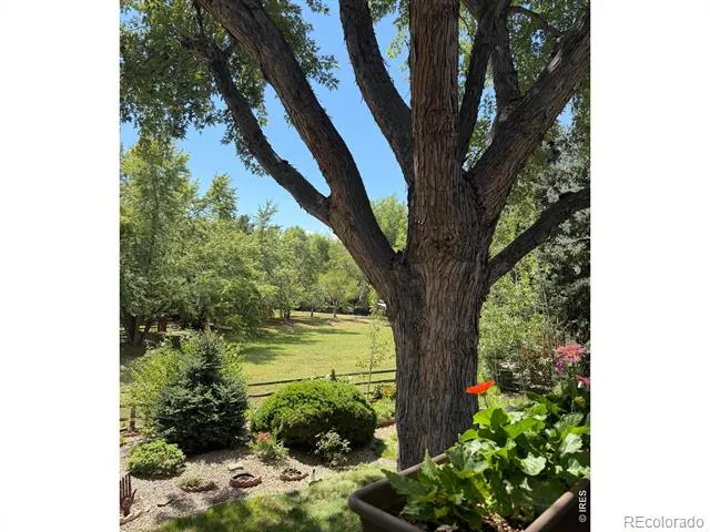 7368 Dry Creek Road Niwot, CO 80503