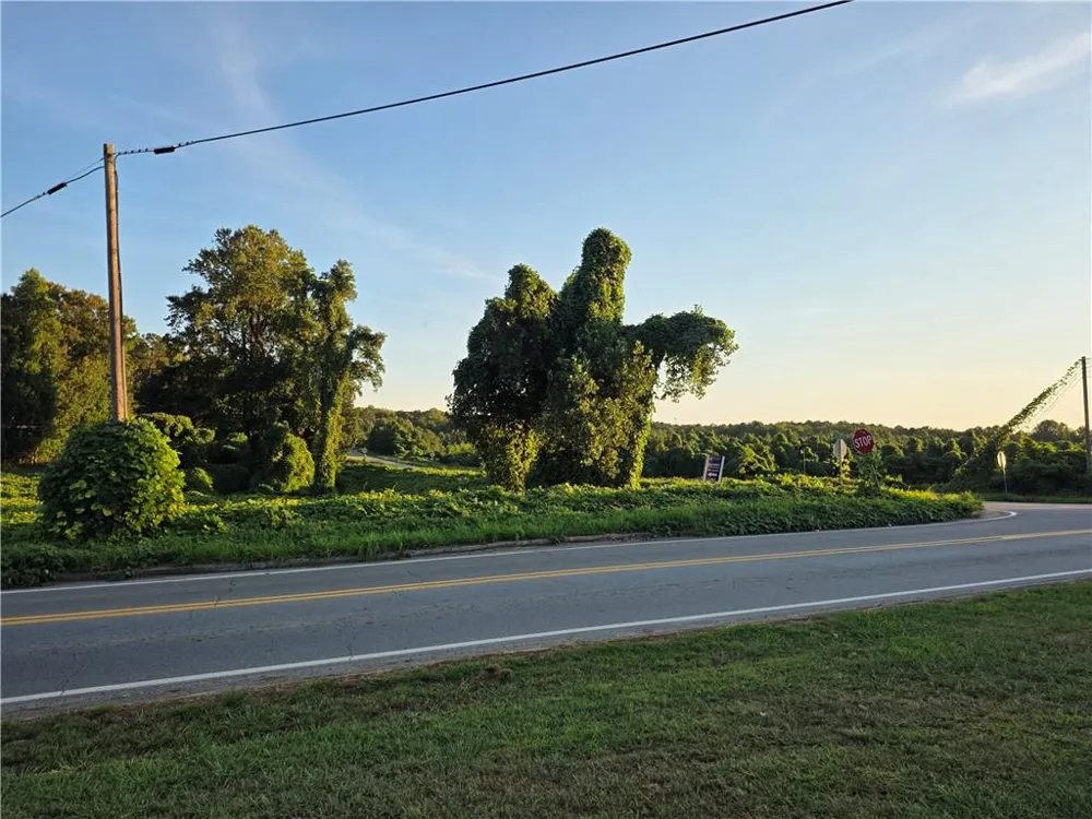 . Lower Burris Road Canton, GA 30114