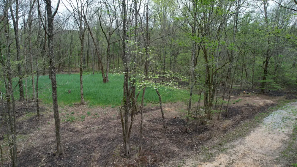 4424 Lane Spring Rd Cherokee, AL 35616