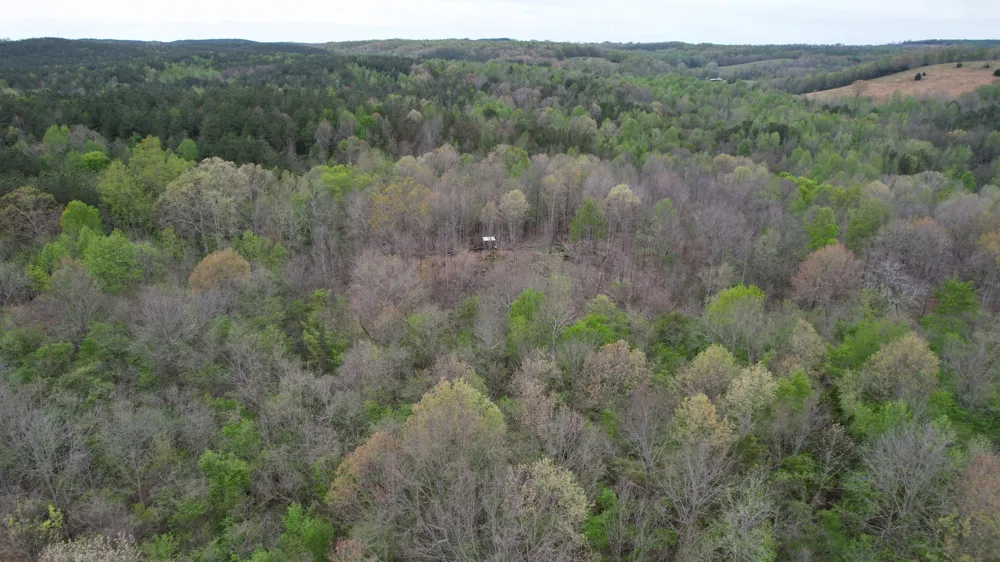 4424 Lane Spring Rd Cherokee, AL 35616