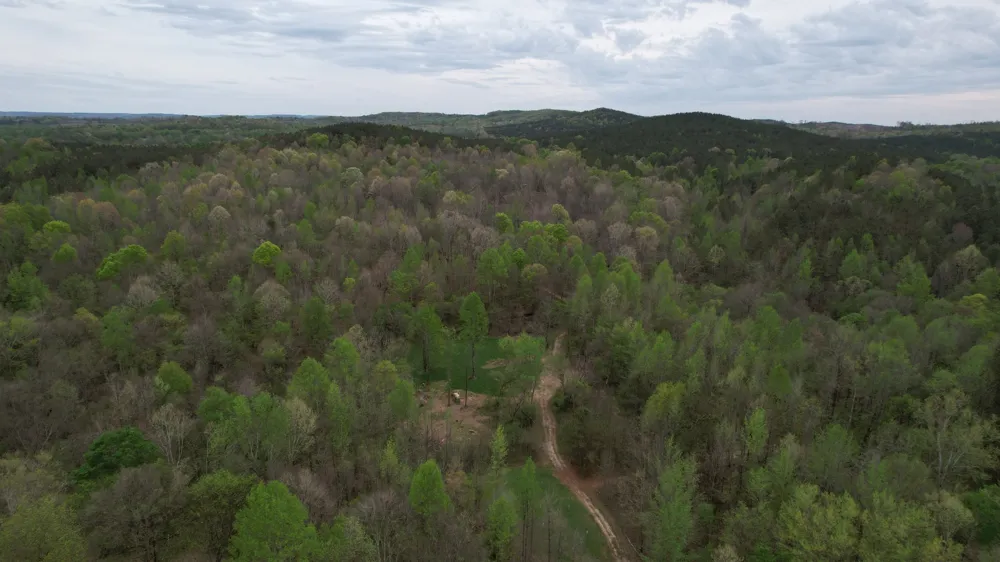 4424 Lane Spring Rd Cherokee, AL 35616