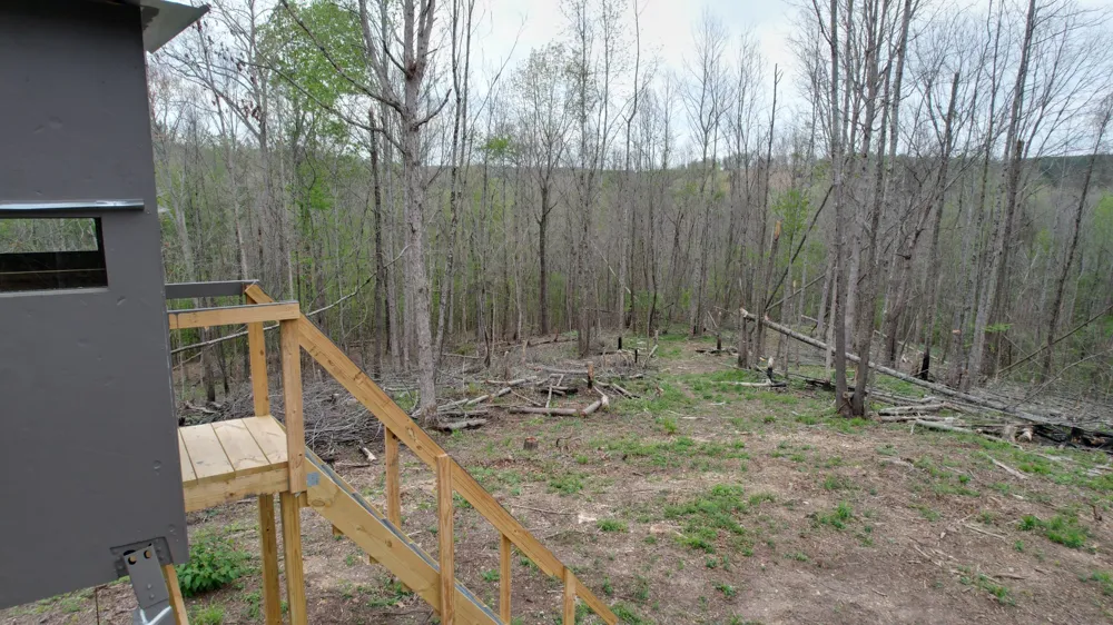 4424 Lane Spring Rd Cherokee, AL 35616